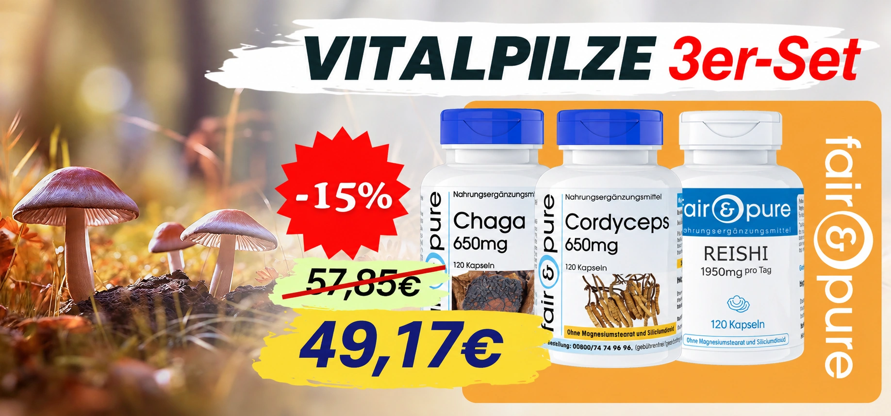 Vitalpilze Set