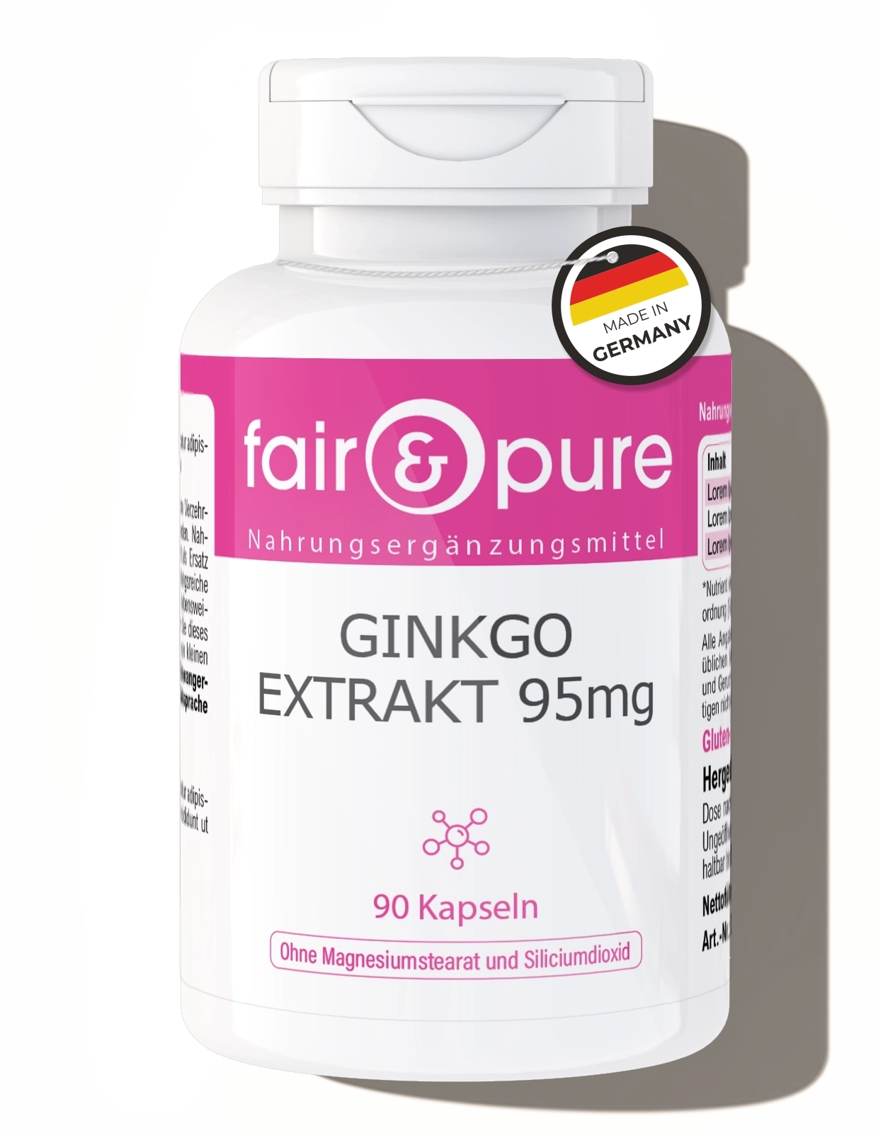 Extrait de Ginkgo 100mg Extrait de Ginkgo 100mg