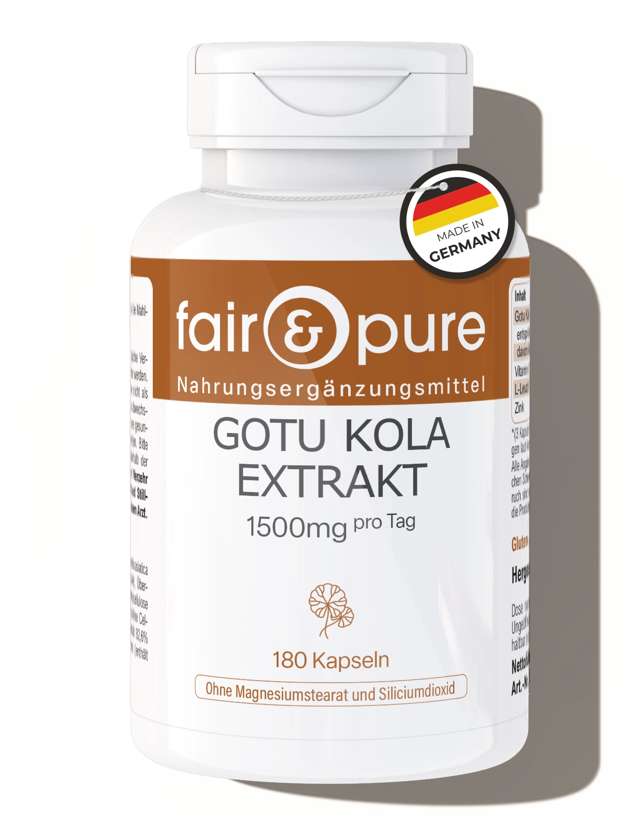 Extrait de Gotu Kola 500mg