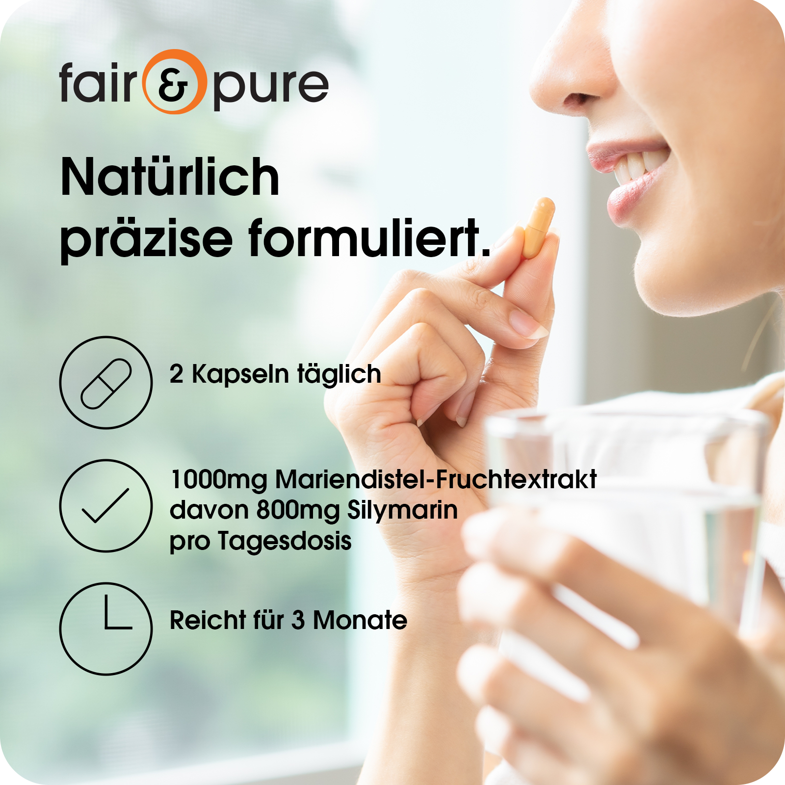 Chardon-Marie - 180 gélules | fair-pure