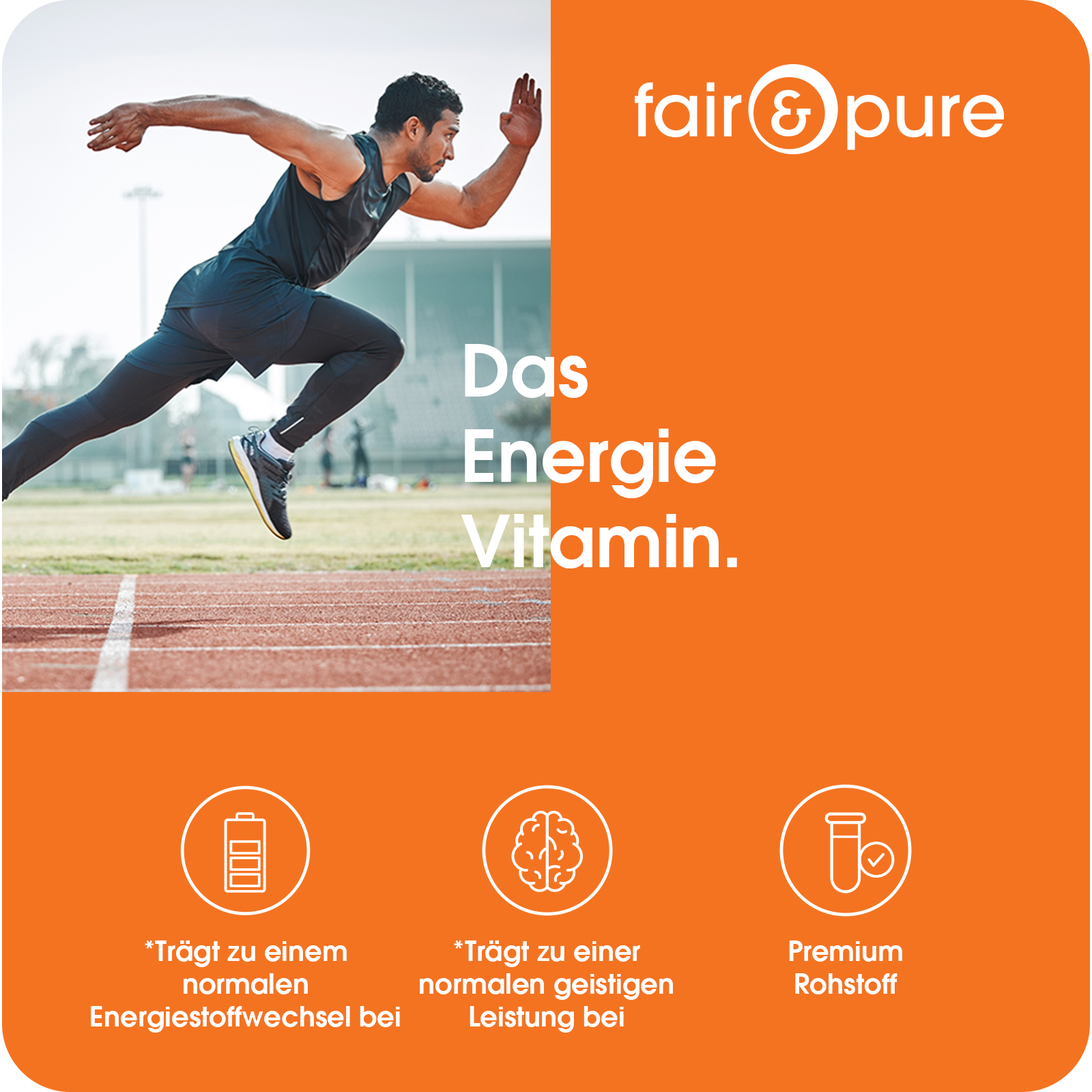 Vitamin B5 500mg - 120 Filmtabletten - schluckfreundlich | fair-pure