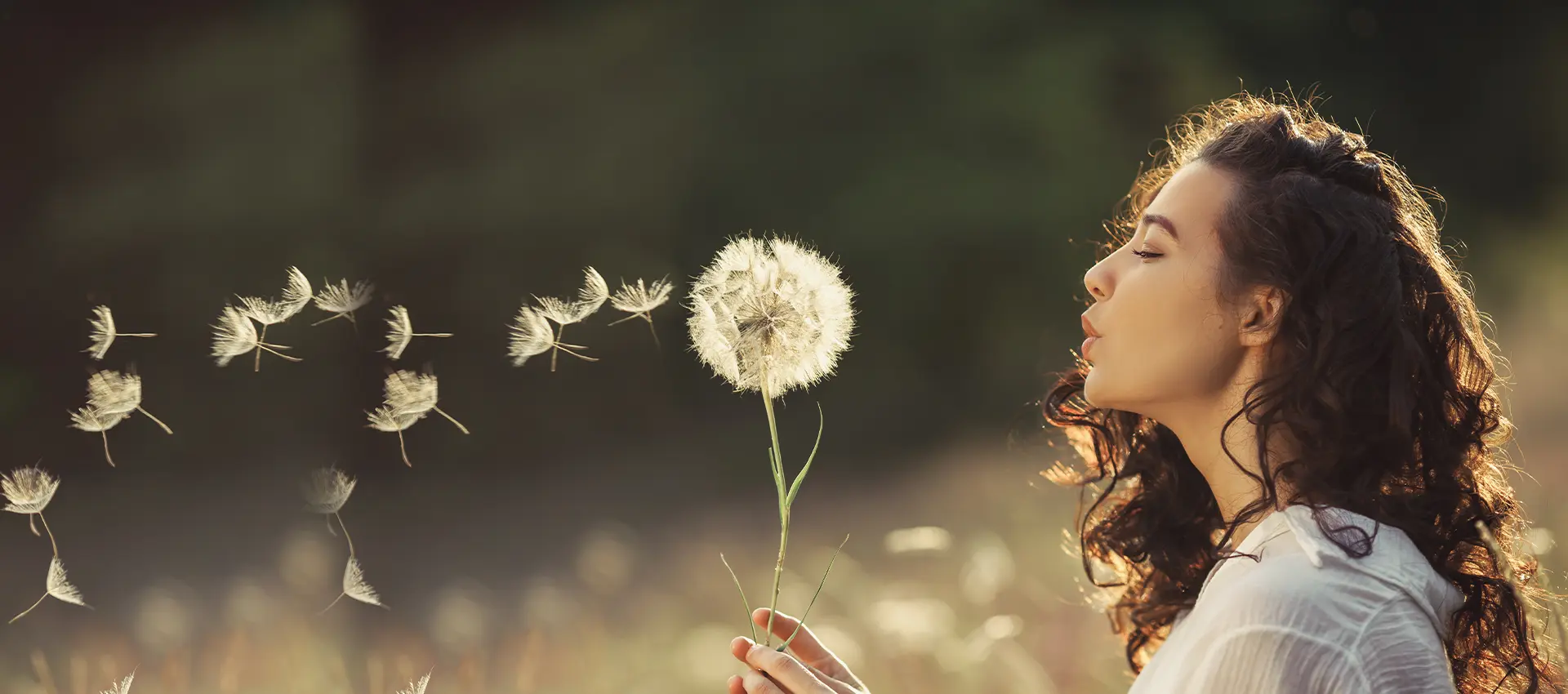 Nature background
