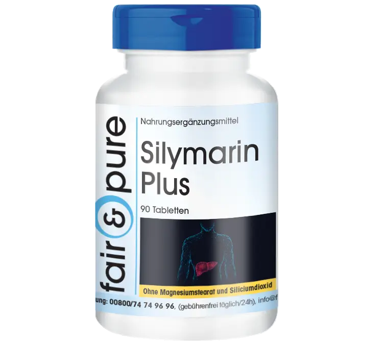 Silymarin Plus | 90 Tabletten